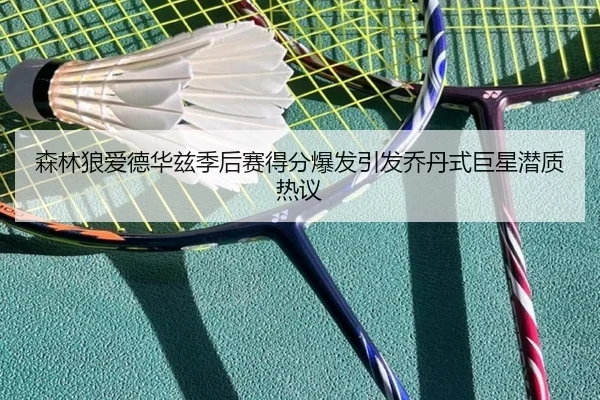 森林狼爱德华兹季后赛得分爆发引发乔丹式巨星潜质热议