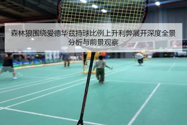 森林狼围绕爱德华兹持球比例上升利弊展开深度全景分析与前景观察